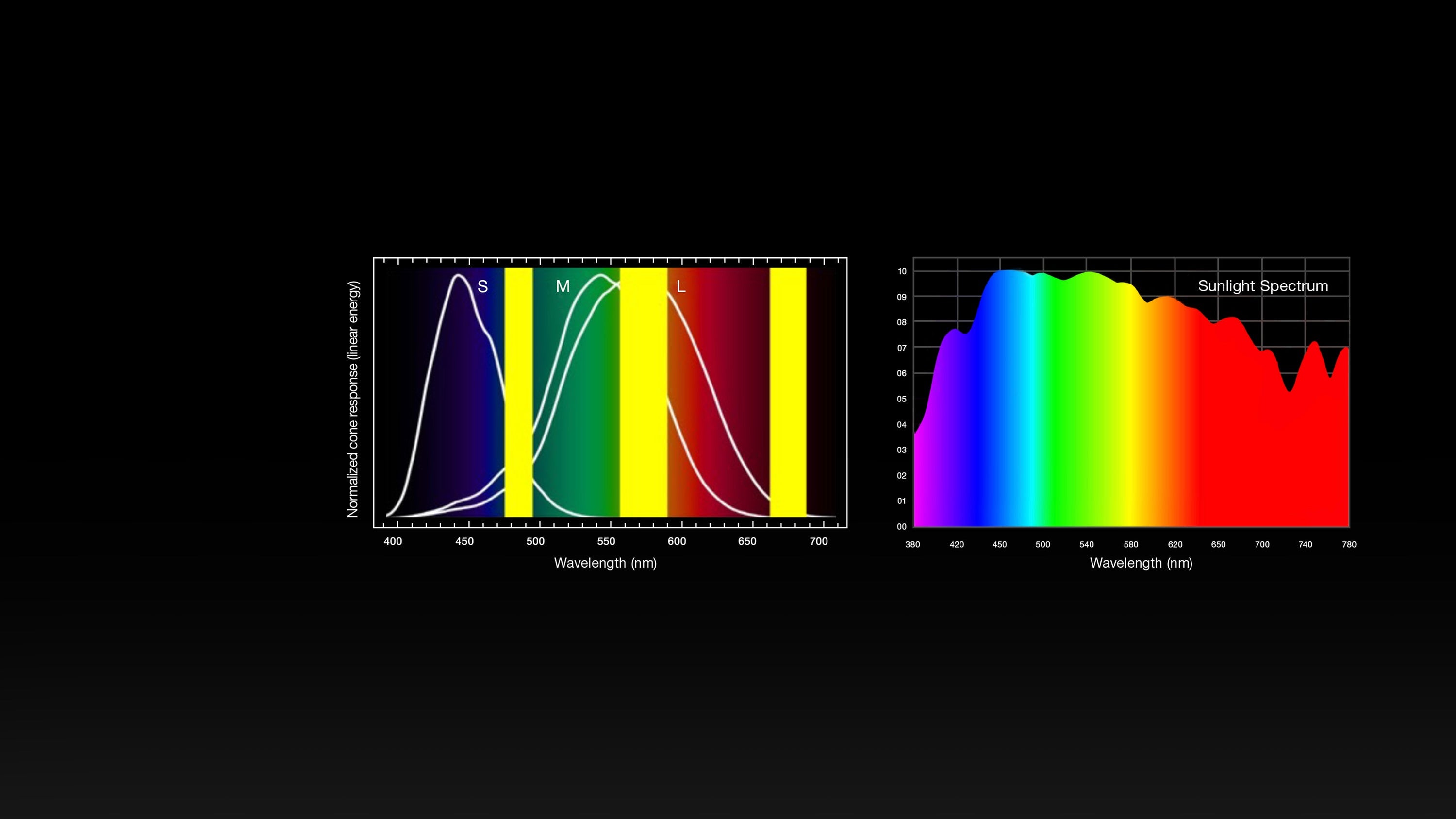 Image 50493719871823 Image 50493719871823