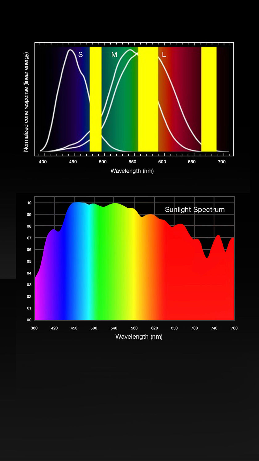 Image 50493720527183 Image 50493720527183
