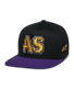 Franchise Pet