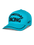 Luminary Pet