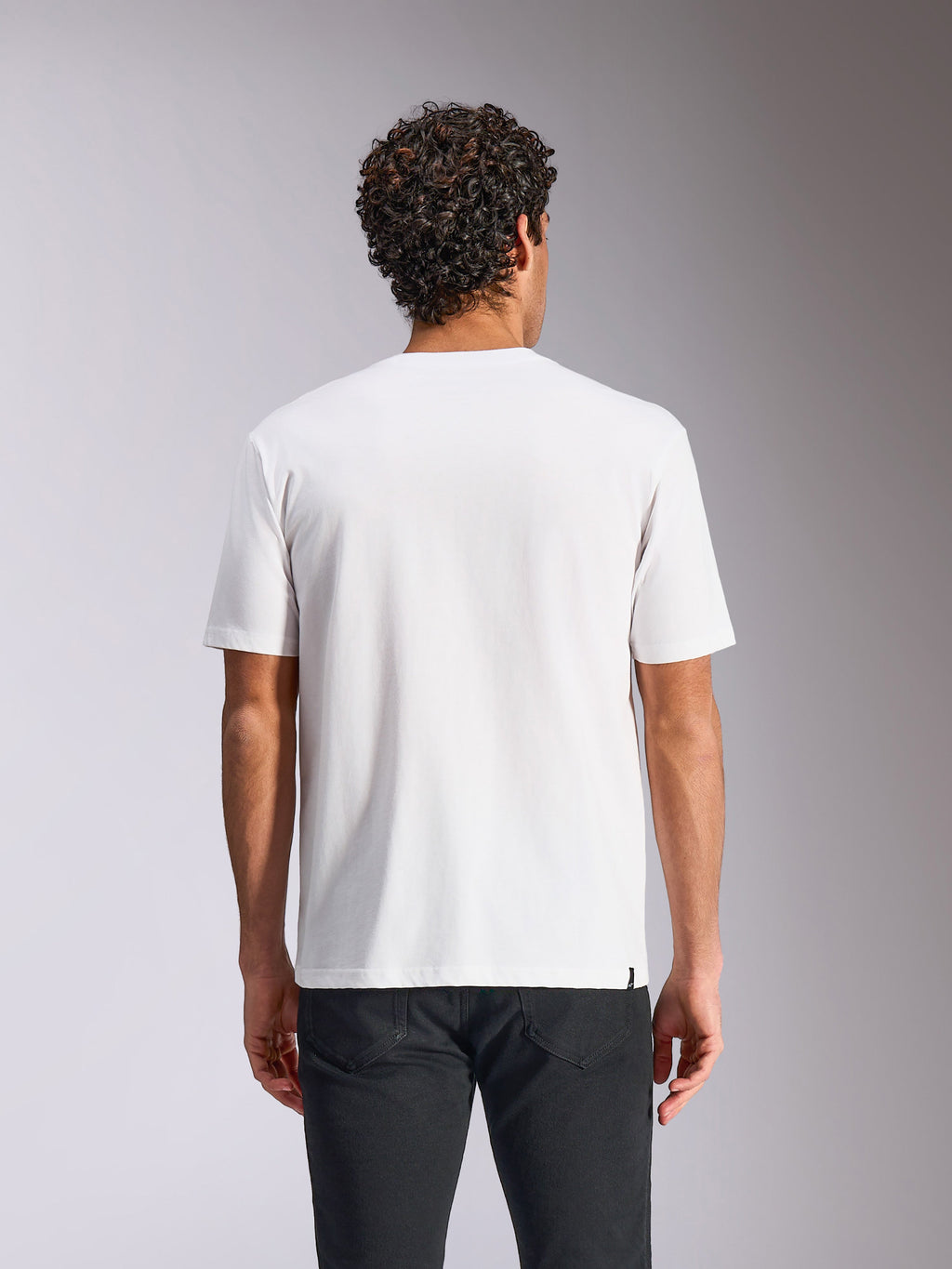 Alpinestars Plate CSF Tee, T-shirt met korte mouwen, wit, achteraanzicht, gedragen met een zwarte broek, casual motorsport streetwear
