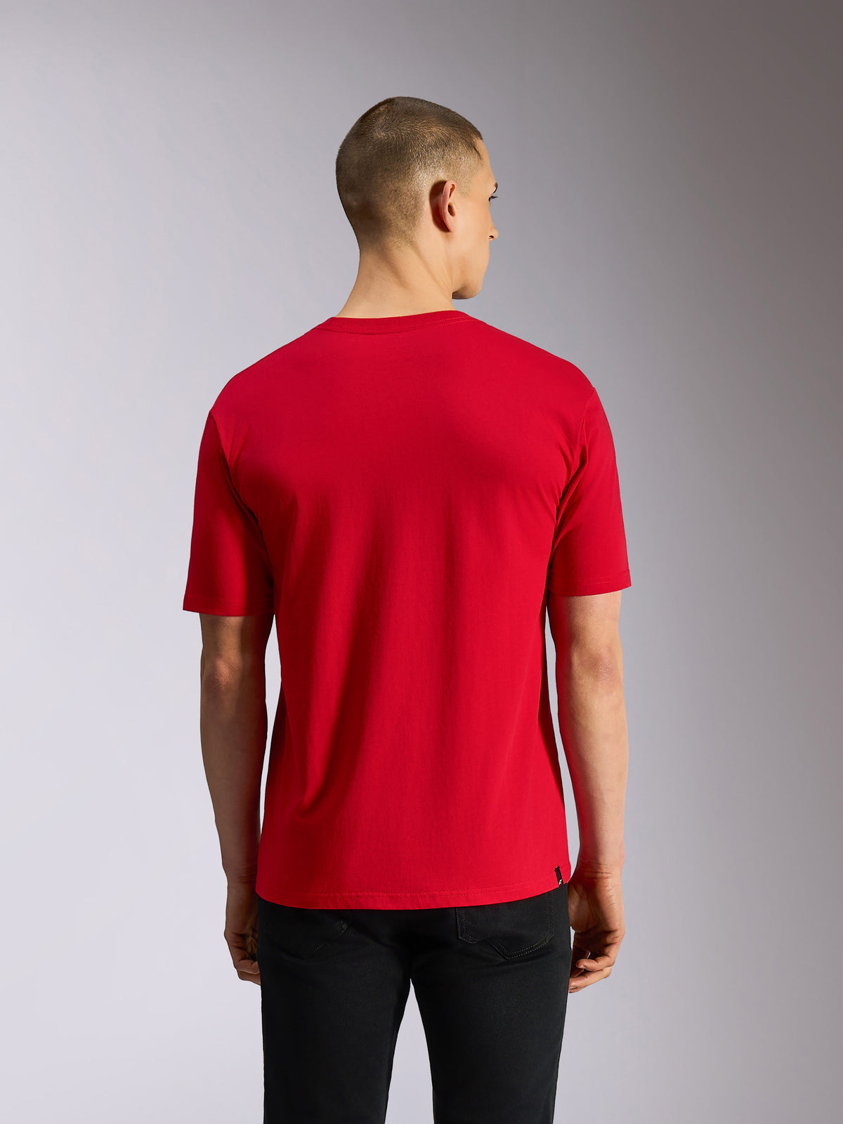 Alpinestars Plate CSF Tee, T-shirt met korte mouwen, rood, achteraanzicht met effen rode stof en casual pasvorm, gedragen met zwarte broek, motorsport-geïnspireerde streetwear