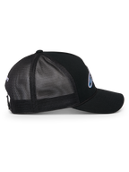 Ageless Shadow Trucker Pet