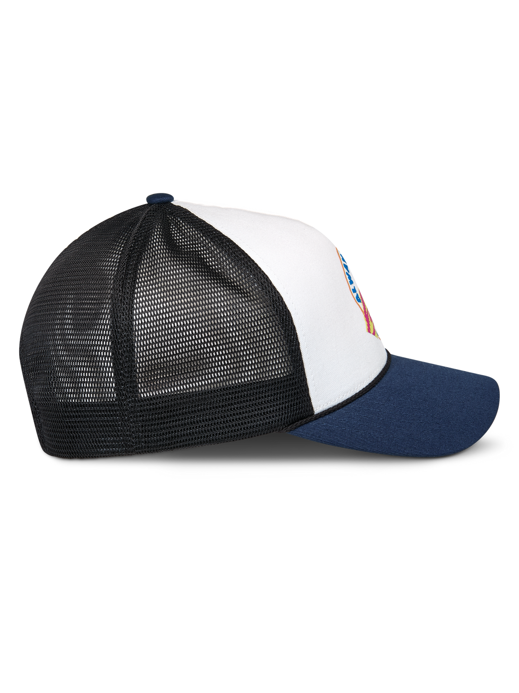 Aorbit Trucker Pet