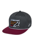 Intuitive Snapback Pet