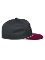 Intuitive Snapback Pet