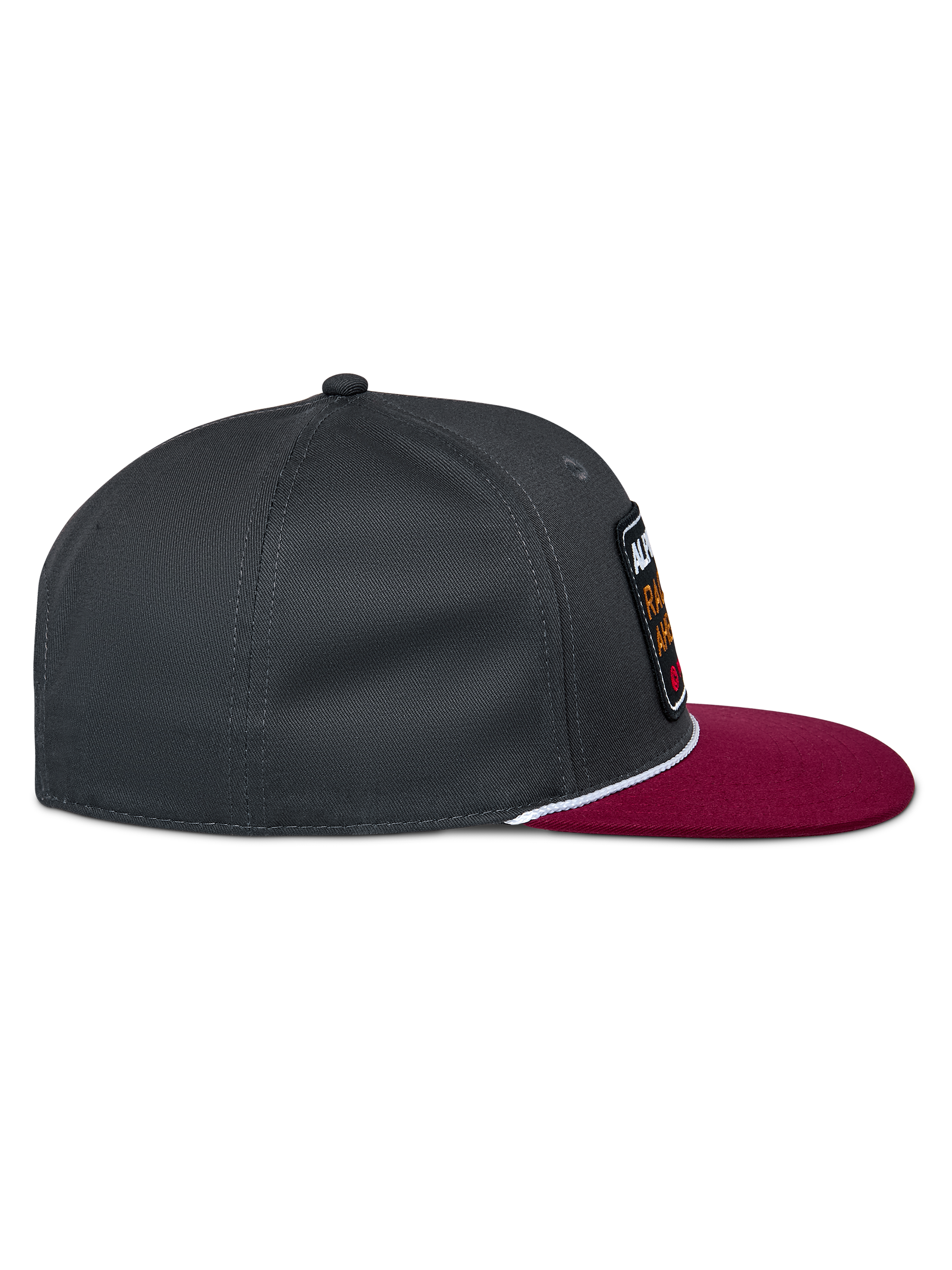 Intuitive Snapback Pet