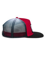 Cali Gradient Trucker Pet