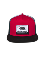 Cali Gradient Trucker Pet