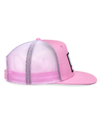 Cali Gradient Trucker Pet