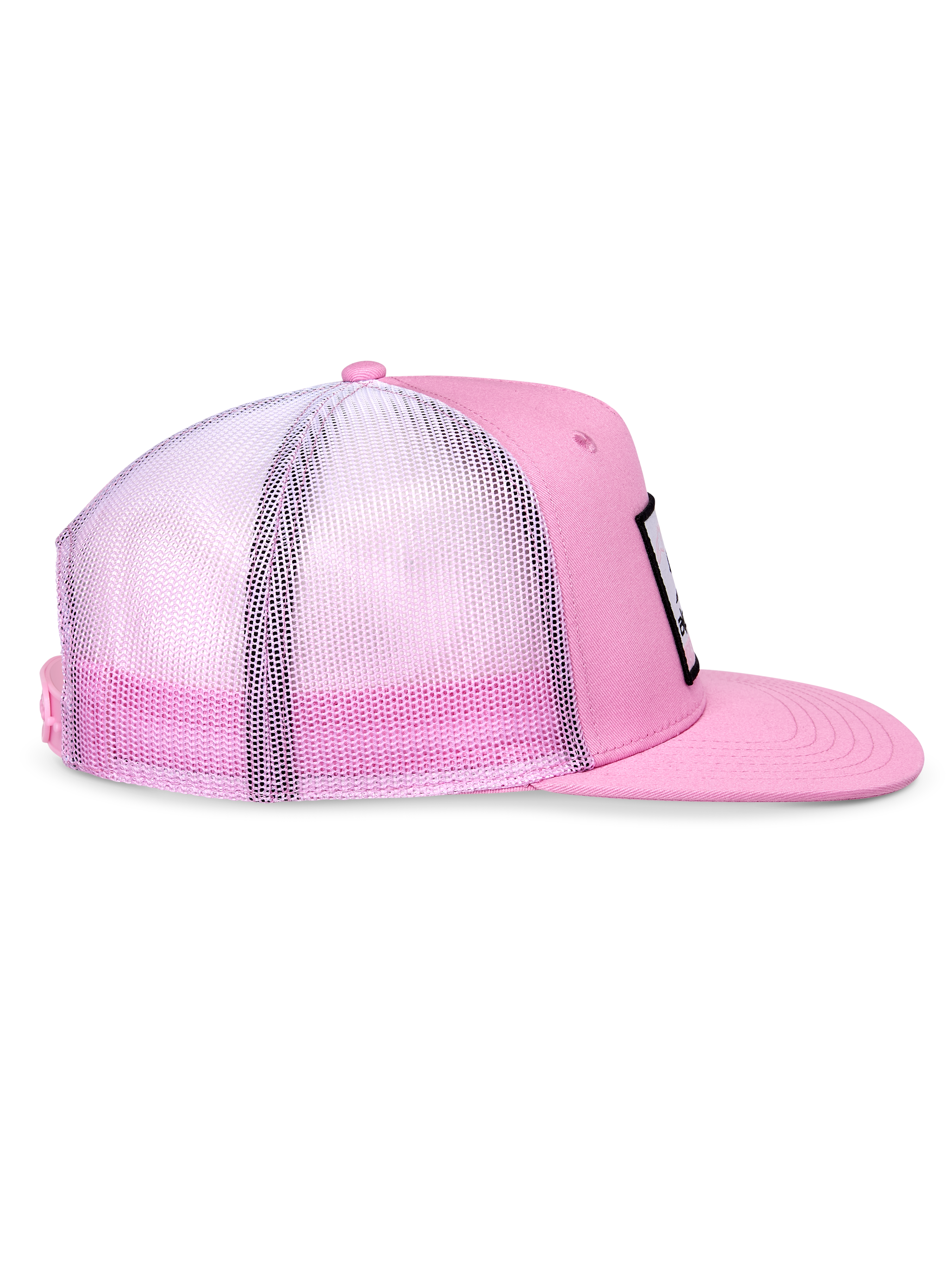 Cali Gradient Trucker Pet