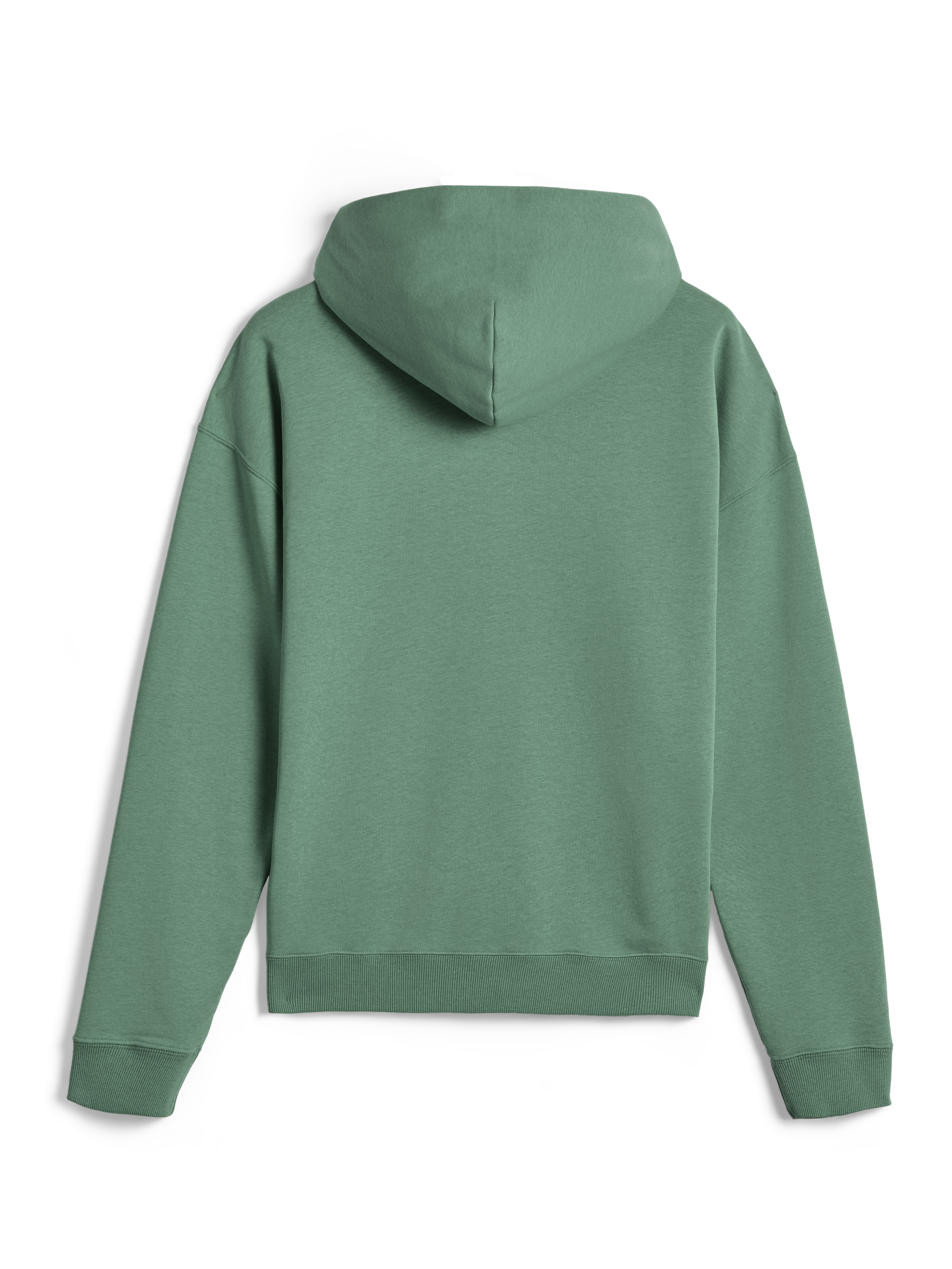 Alpinestars Essentials Ageless Zip Hoodie, casual streetwear, Cactus Green, back view showing relaxed fit and ribbed cuffs, premium 330 gsm compact fleece
