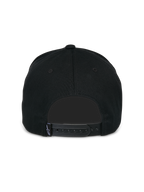 Ageless Snapback Pet