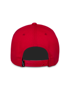 Ageless Snapback Pet