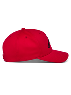 Ageless Snapback Pet