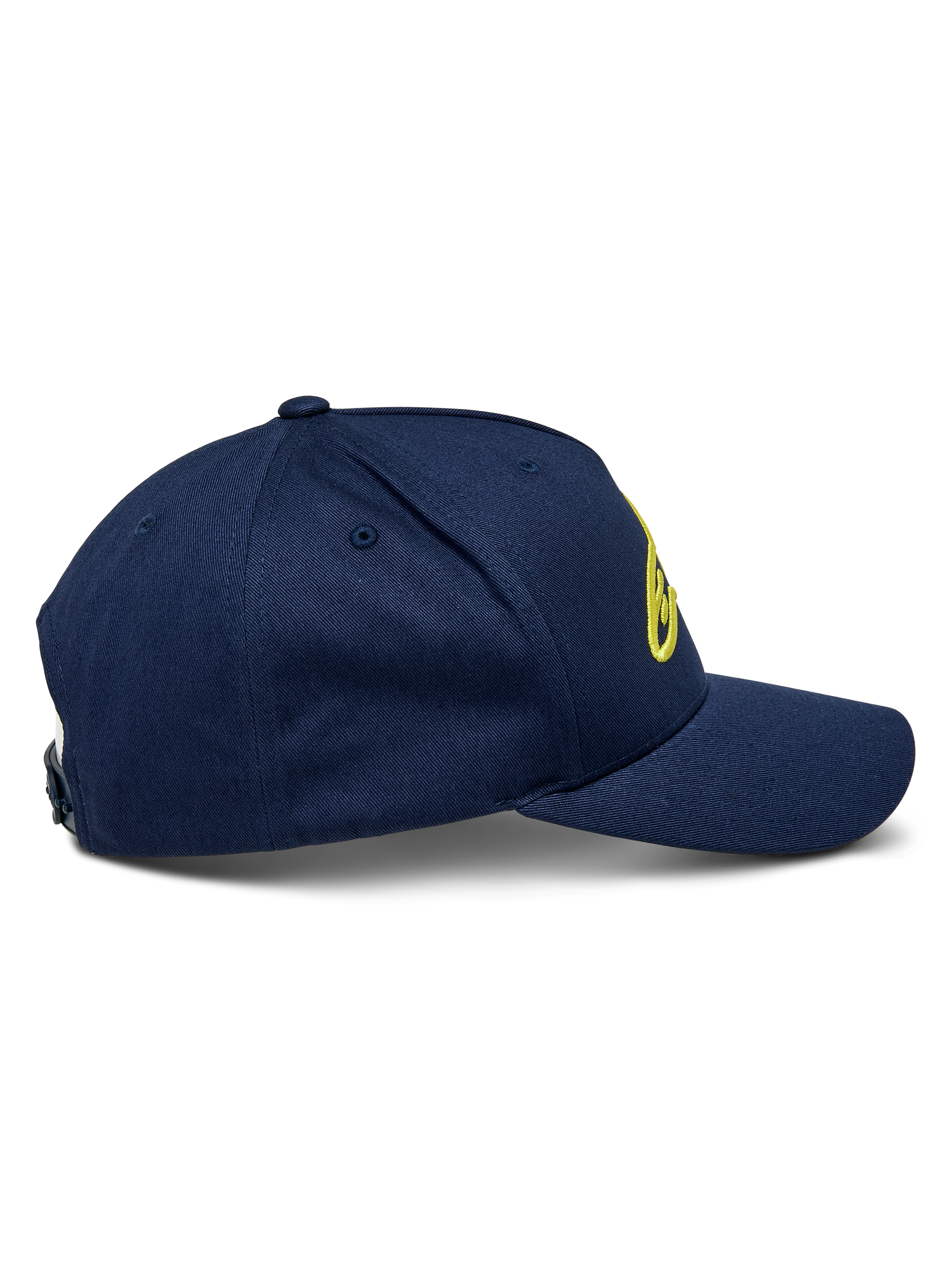 Ageless Snapback Pet