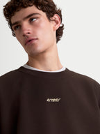 Alpinestars Guise Oversized Crew, Close-up of Brown Sportswear Fleece Pullover on model, Men's Casual Crewneck Sweatshirt featuring embroidered Astars Word Logo and ribbed collar.