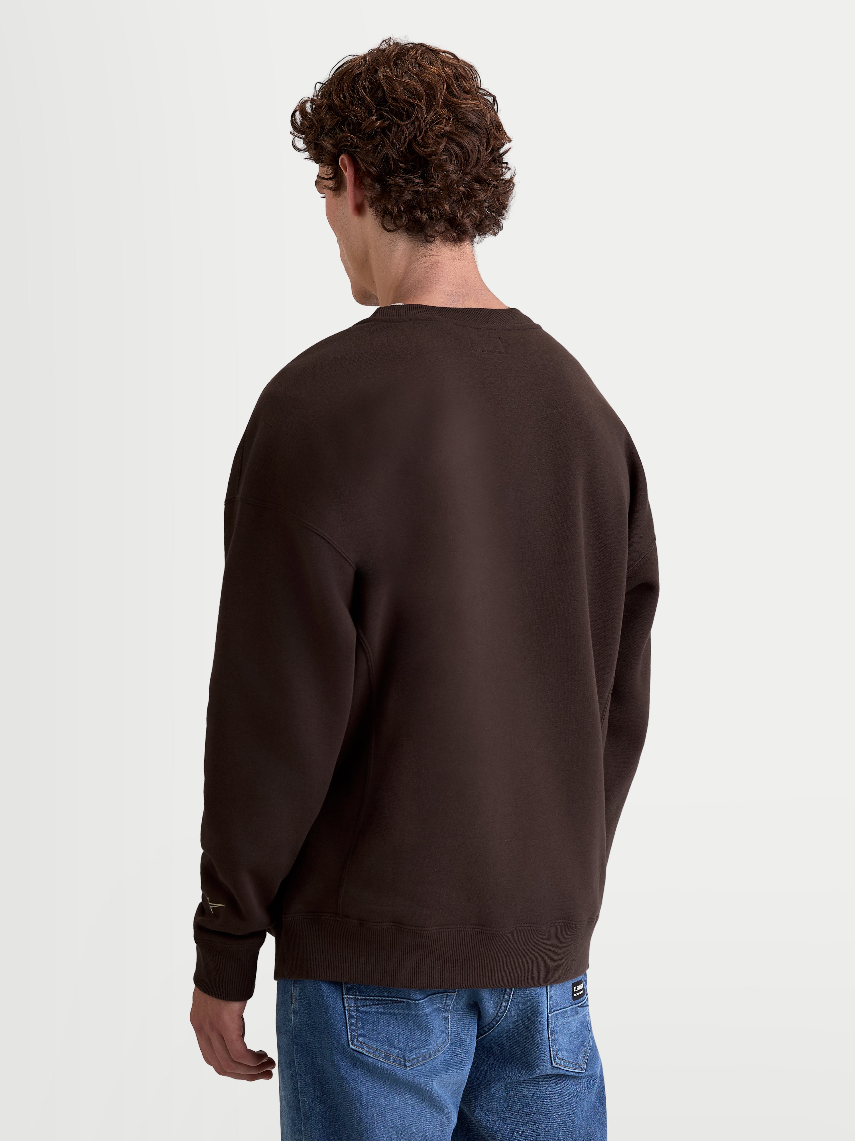 Alpinestars Guise Oversized Crew, Brown Sportswear Fleece Pullover, Unisex Lifestyle Crewneck, back view on model, oversized fit, premium cotton and recycled polyester blend.