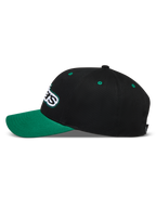 Alpinestars Retro Snapback hoed, zwarte en groene sportpet, zijprofiel met gebogen klep en geborduurd Astars-logo.