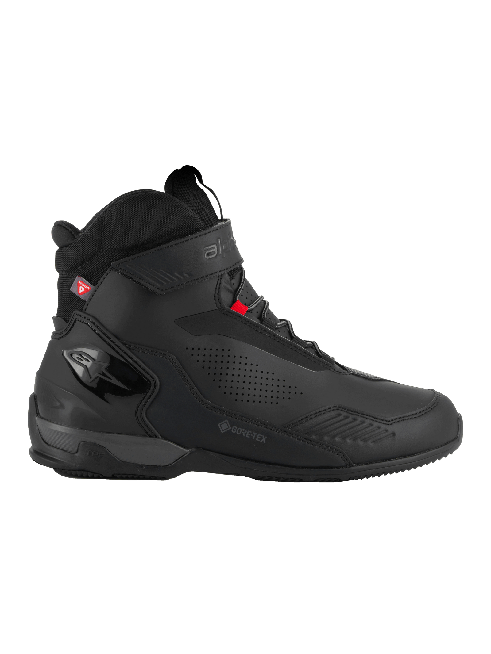 Austral GTX Chaussures