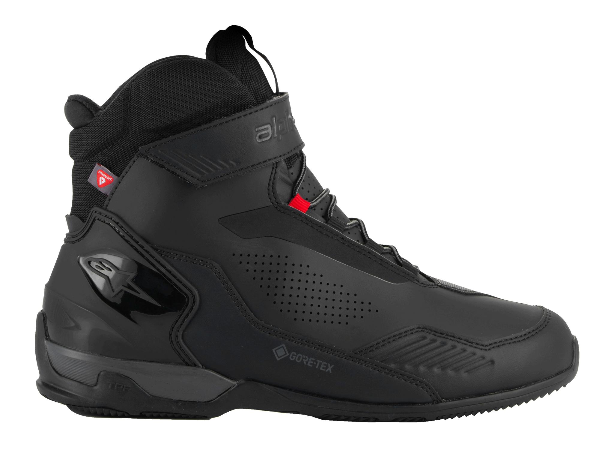 Austral Gtx Schoenen