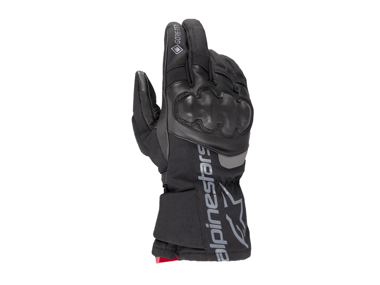 Wt-4 Gore-Tex Insulated Handschuhe