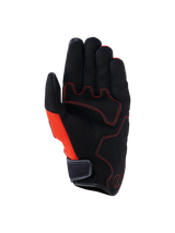 Gants Ignite
