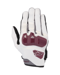 Gants Chrome